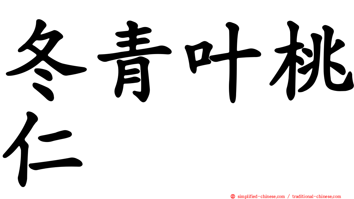 冬青叶桃仁