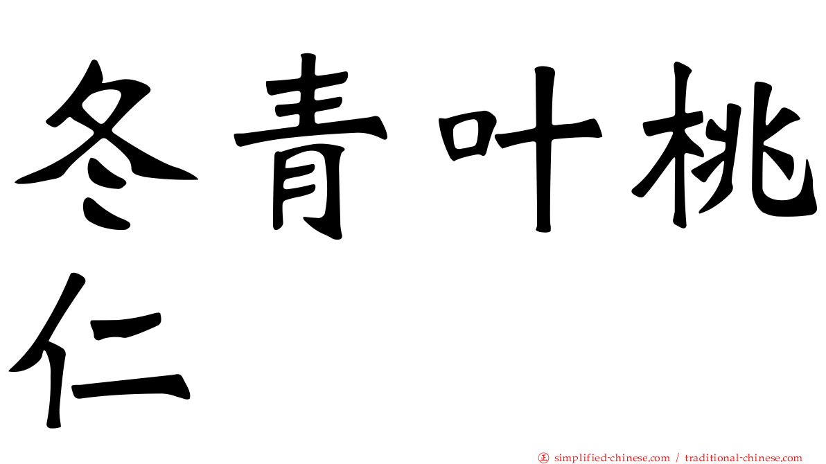 冬青叶桃仁