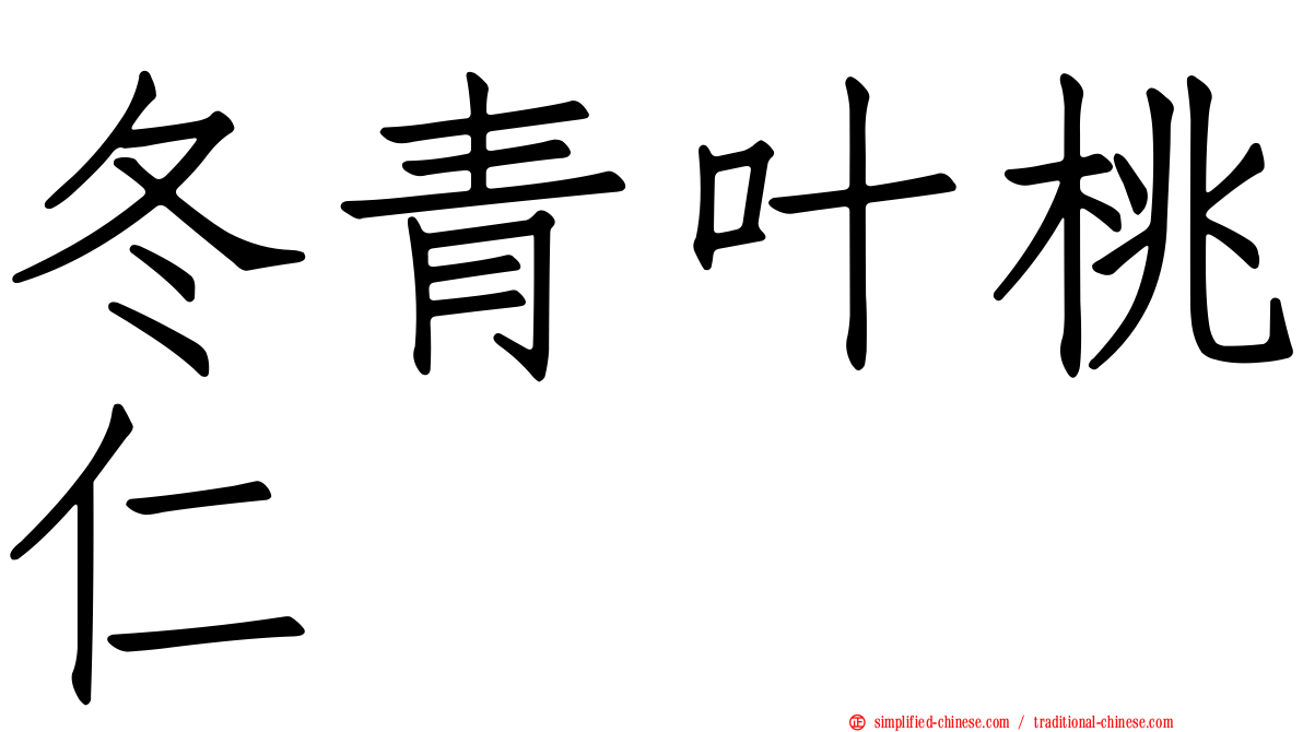 冬青叶桃仁