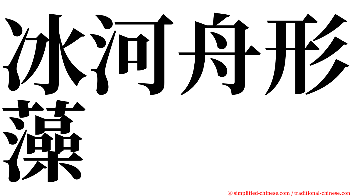 冰河舟形藻 serif font
