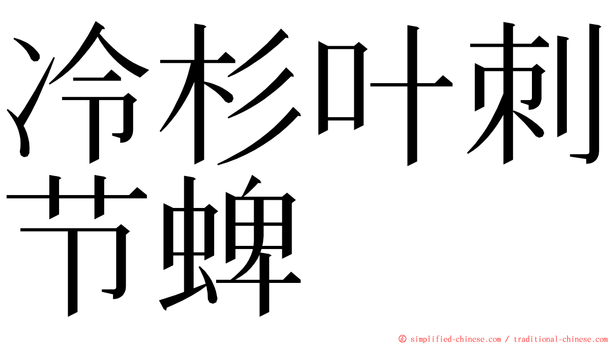 冷杉叶刺节蜱 ming font