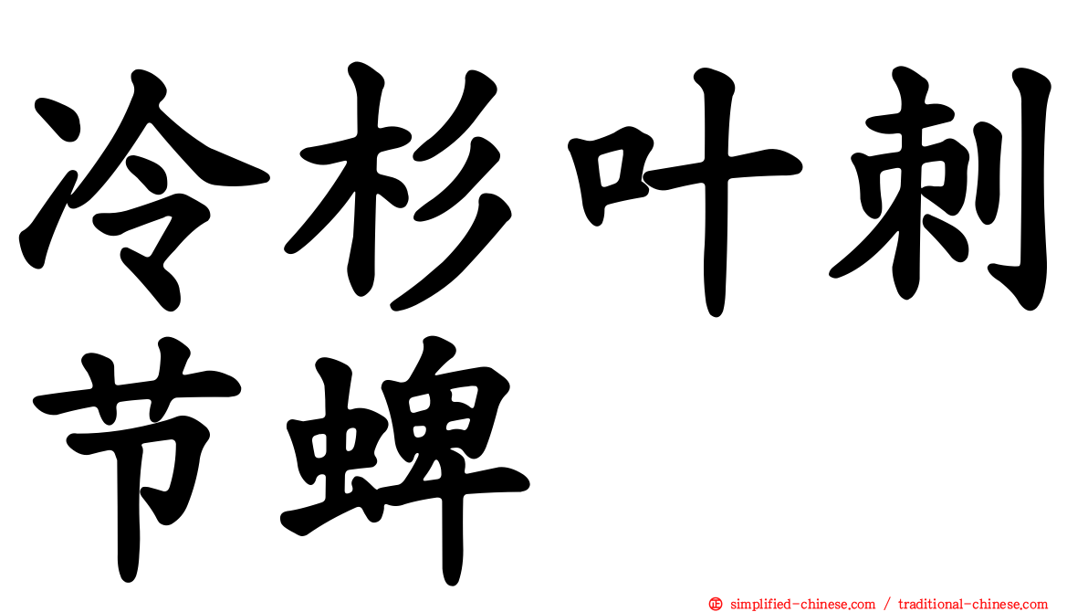 冷杉叶刺节蜱