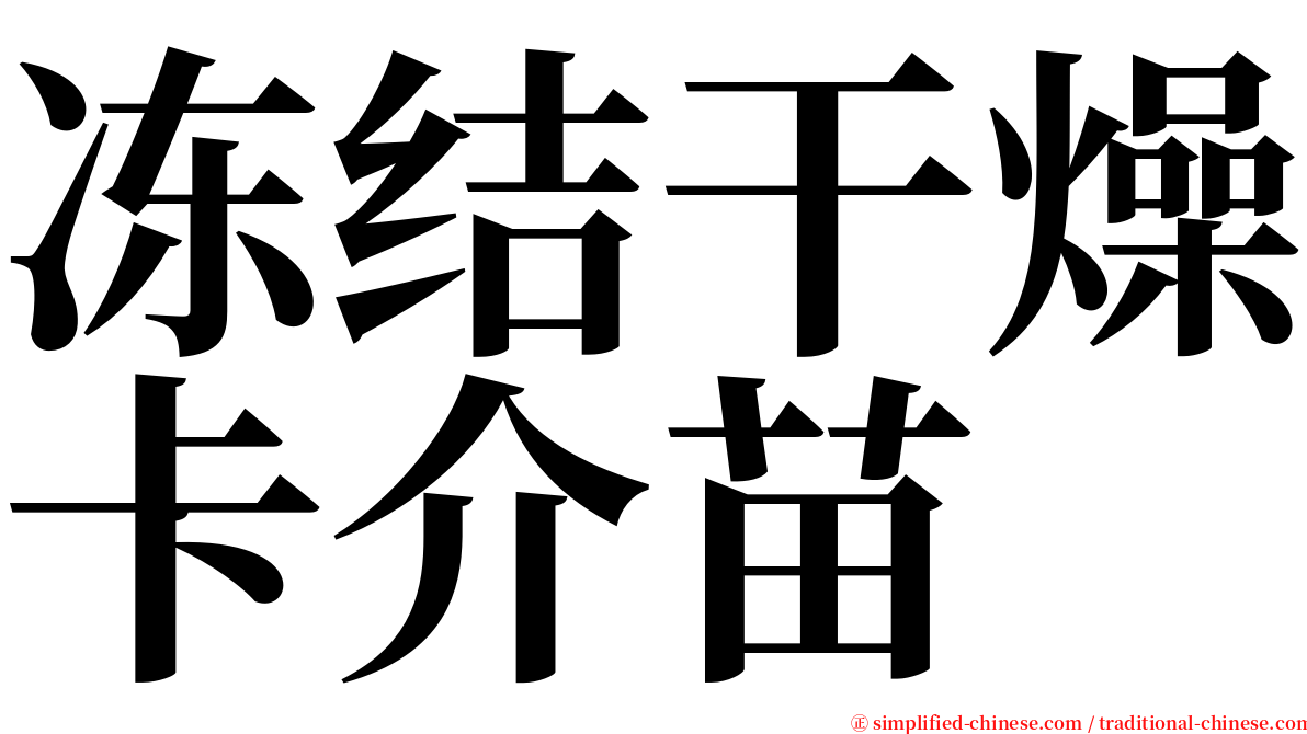 冻结干燥卡介苗 serif font