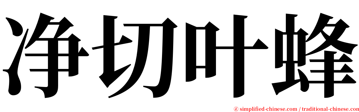 净切叶蜂 serif font