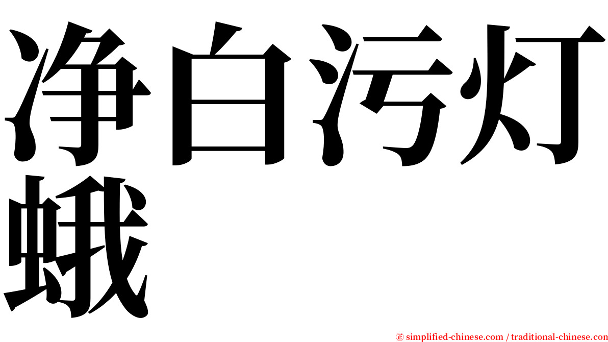 净白污灯蛾 serif font