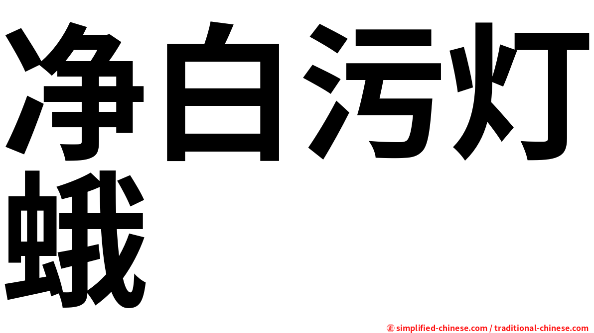 净白污灯蛾