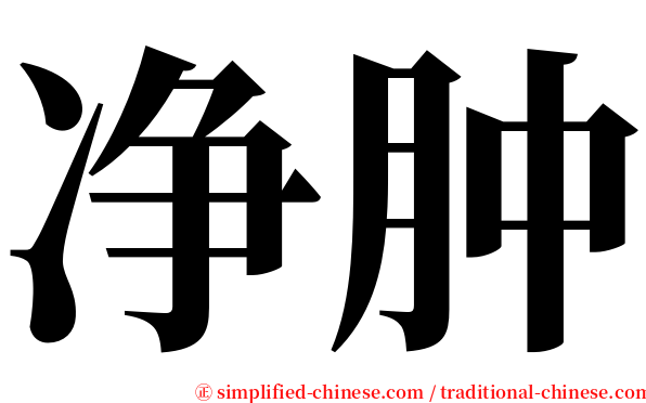 净肿 serif font