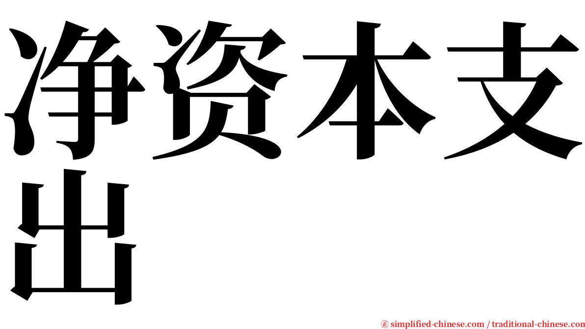 净资本支出 serif font