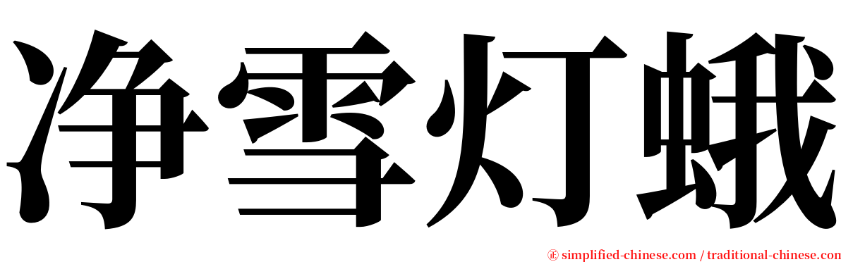 净雪灯蛾 serif font
