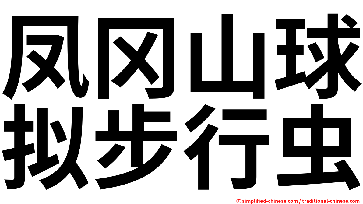凤冈山球拟步行虫