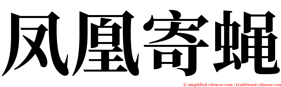 凤凰寄蝇 serif font