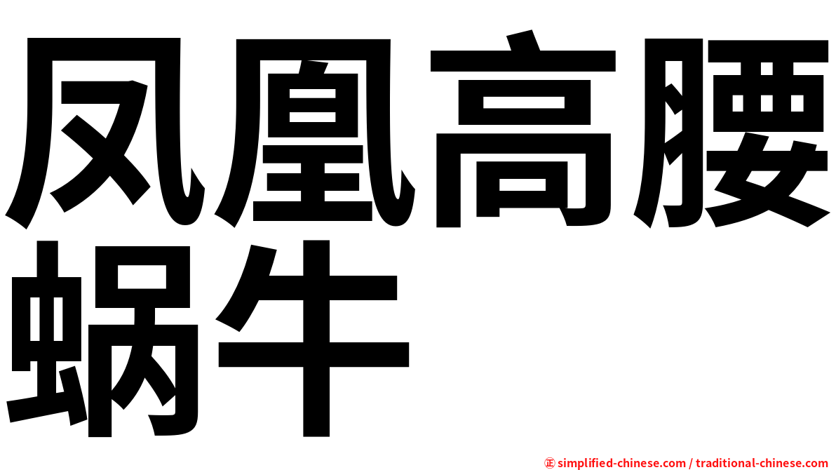 凤凰高腰蜗牛