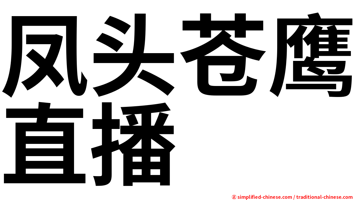 凤头苍鹰直播