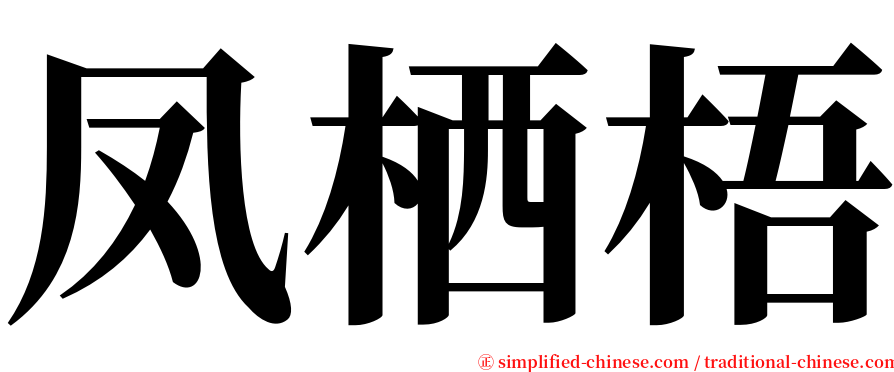 凤栖梧 serif font