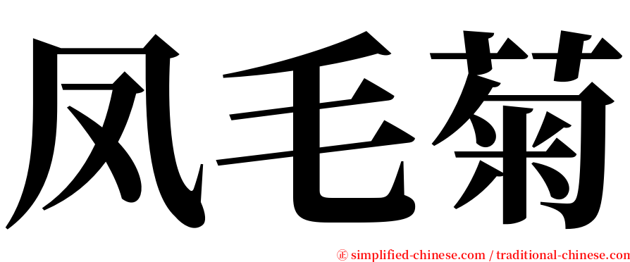 凤毛菊 serif font