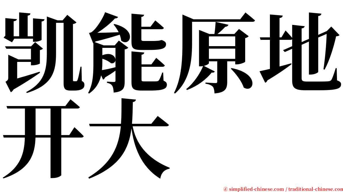凯能原地开大 serif font