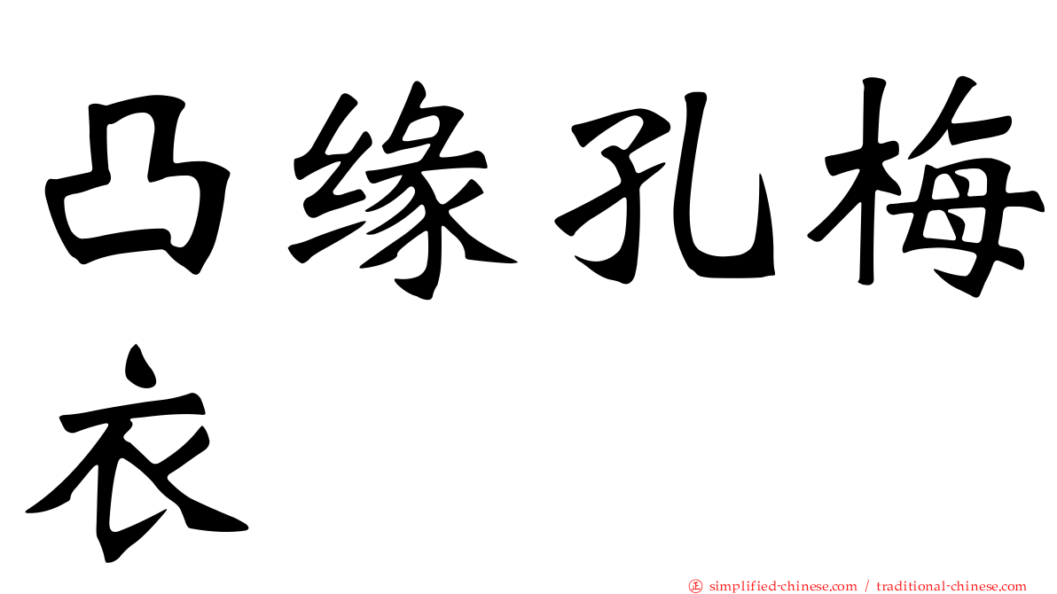 凸缘孔梅衣
