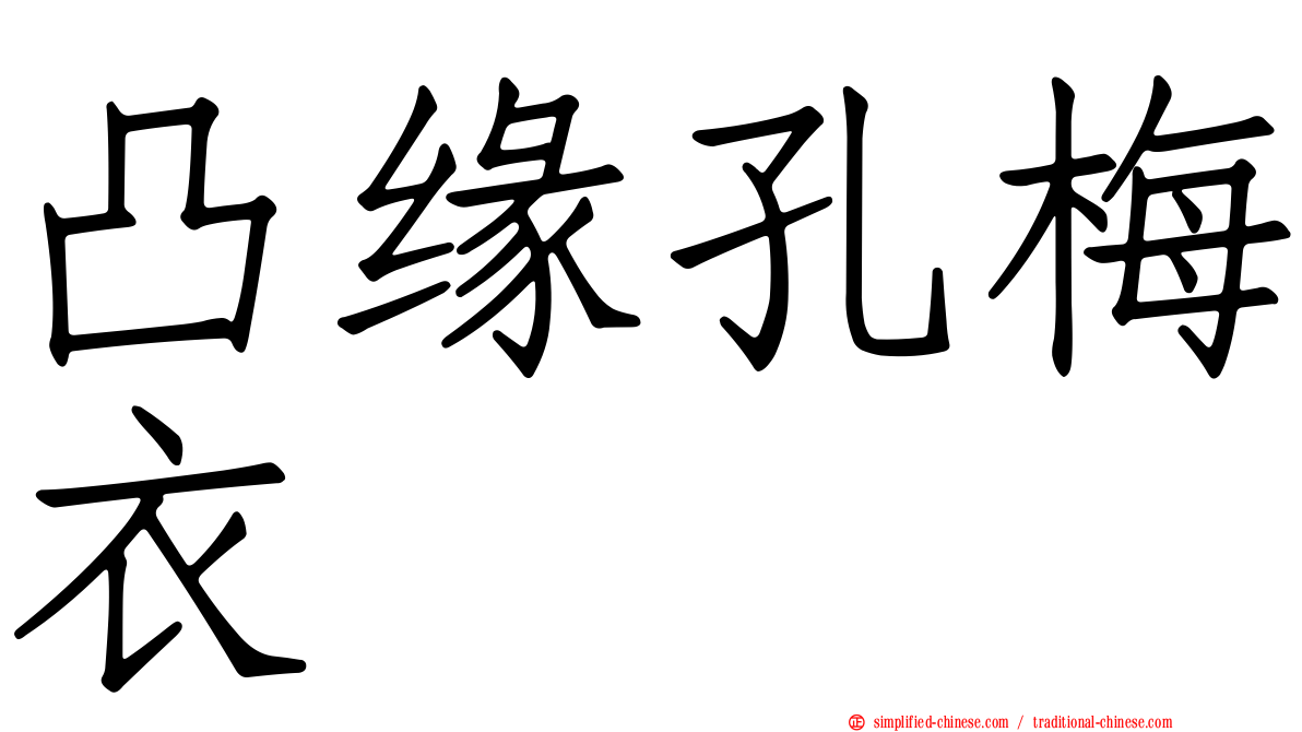 凸缘孔梅衣