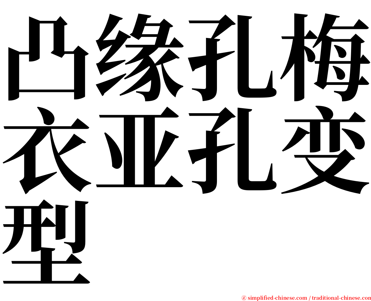 凸缘孔梅衣亚孔变型 serif font