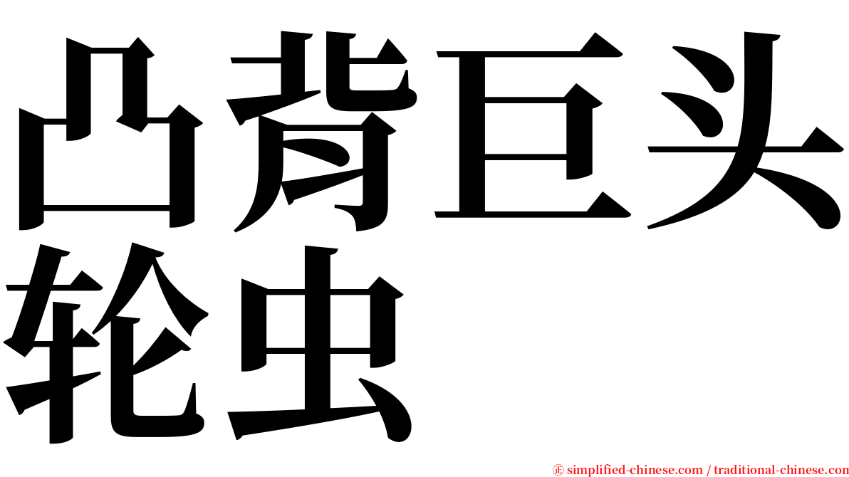 凸背巨头轮虫 serif font