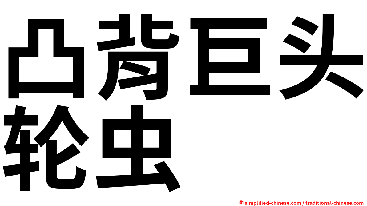 凸背巨头轮虫