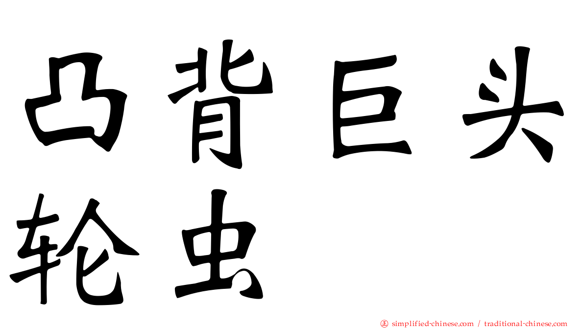 凸背巨头轮虫