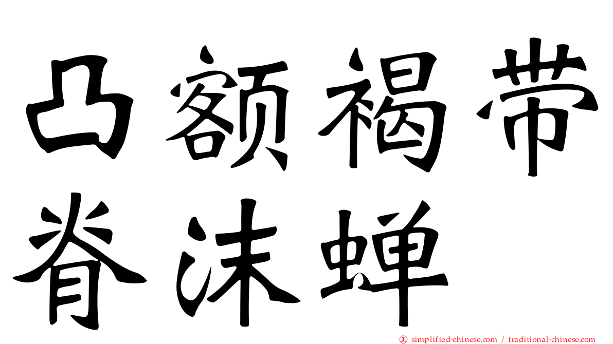 凸额褐带脊沫蝉