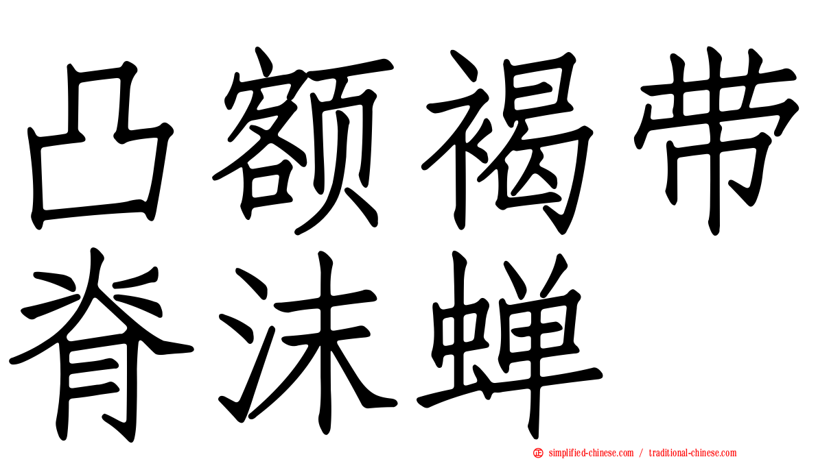 凸额褐带脊沫蝉