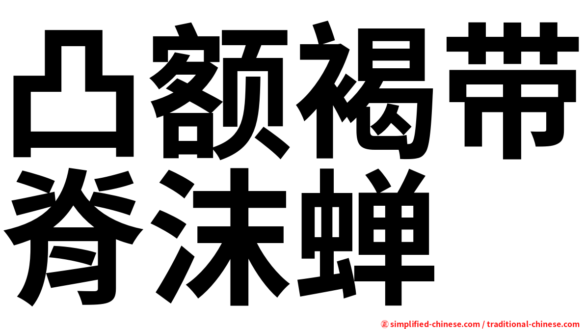 凸额褐带脊沫蝉