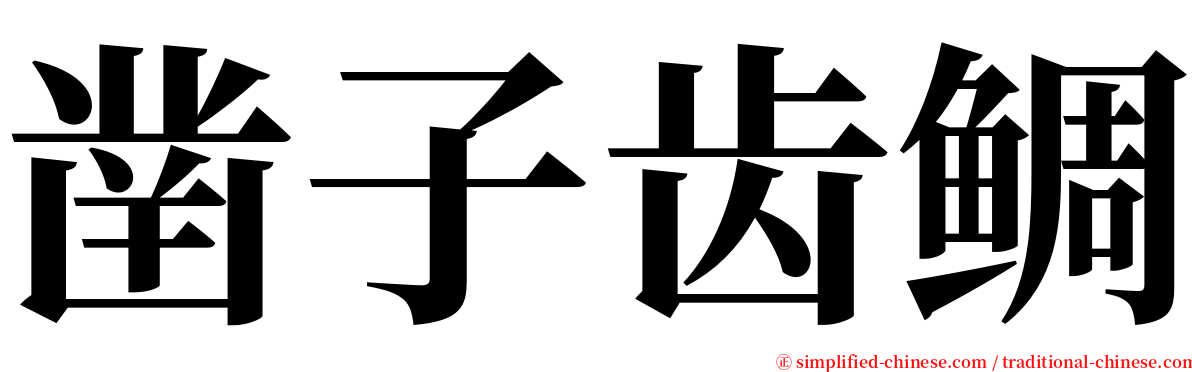 凿子齿鲷 serif font