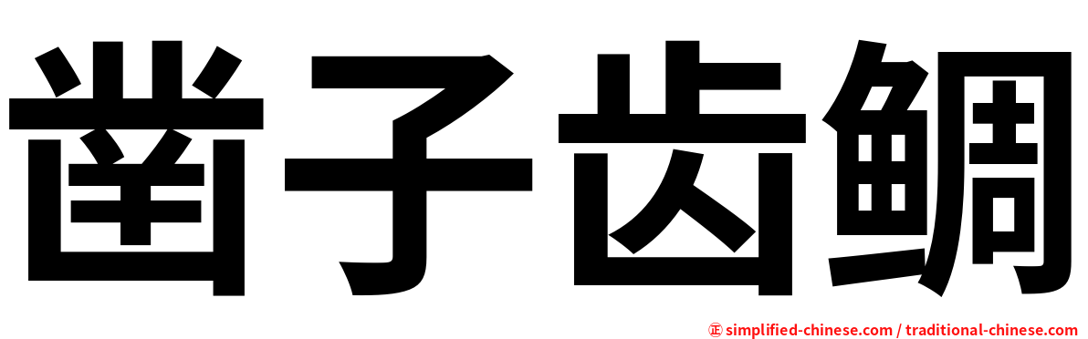 凿子齿鲷