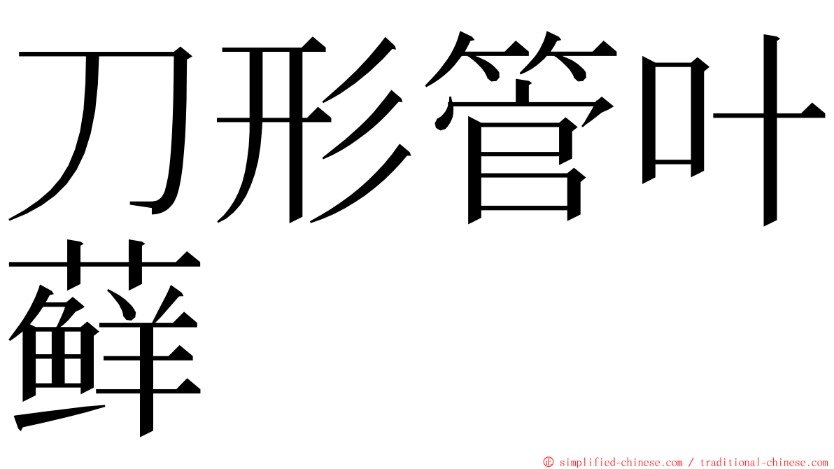 刀形管叶藓 ming font