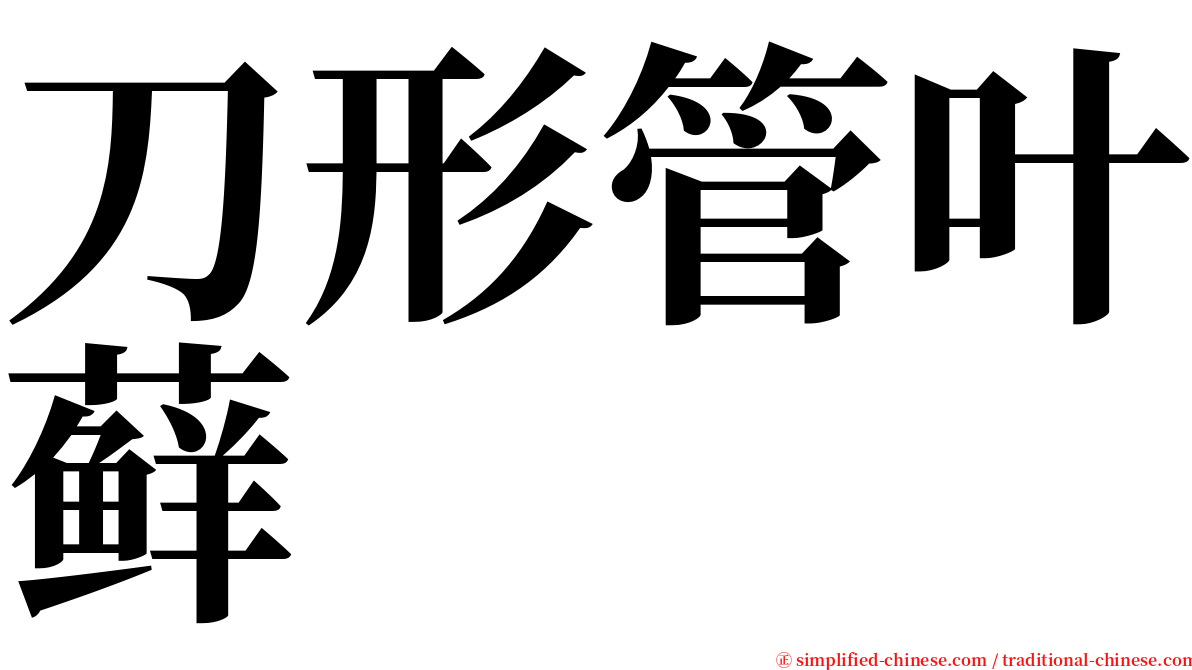 刀形管叶藓 serif font