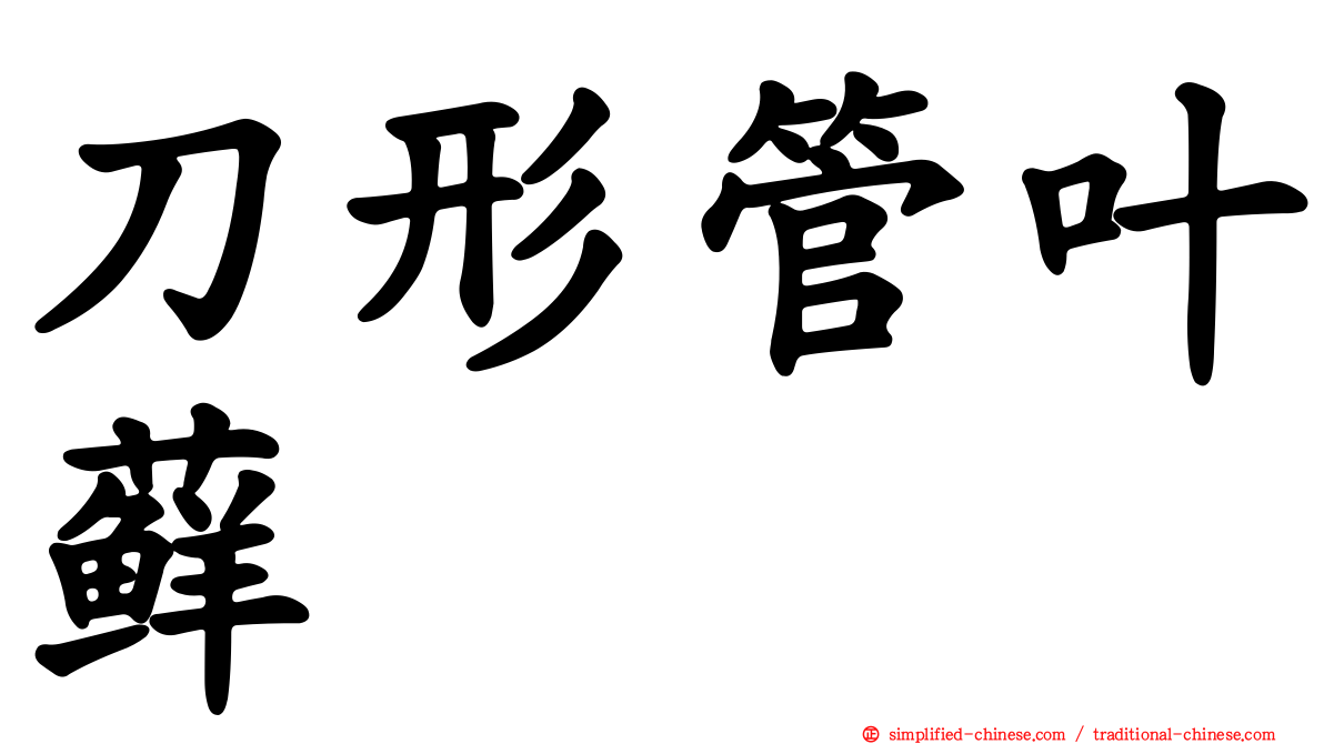 刀形管叶藓