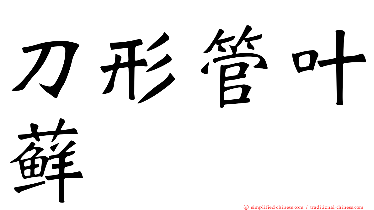 刀形管叶藓