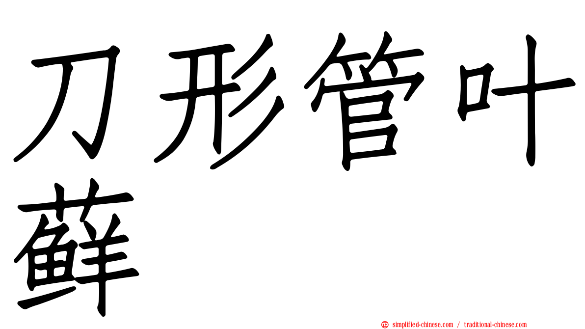 刀形管叶藓