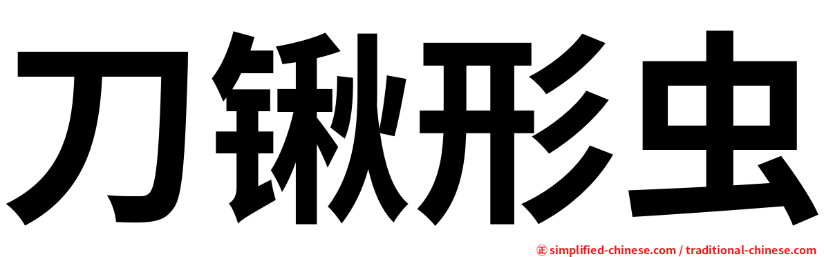 刀锹形虫