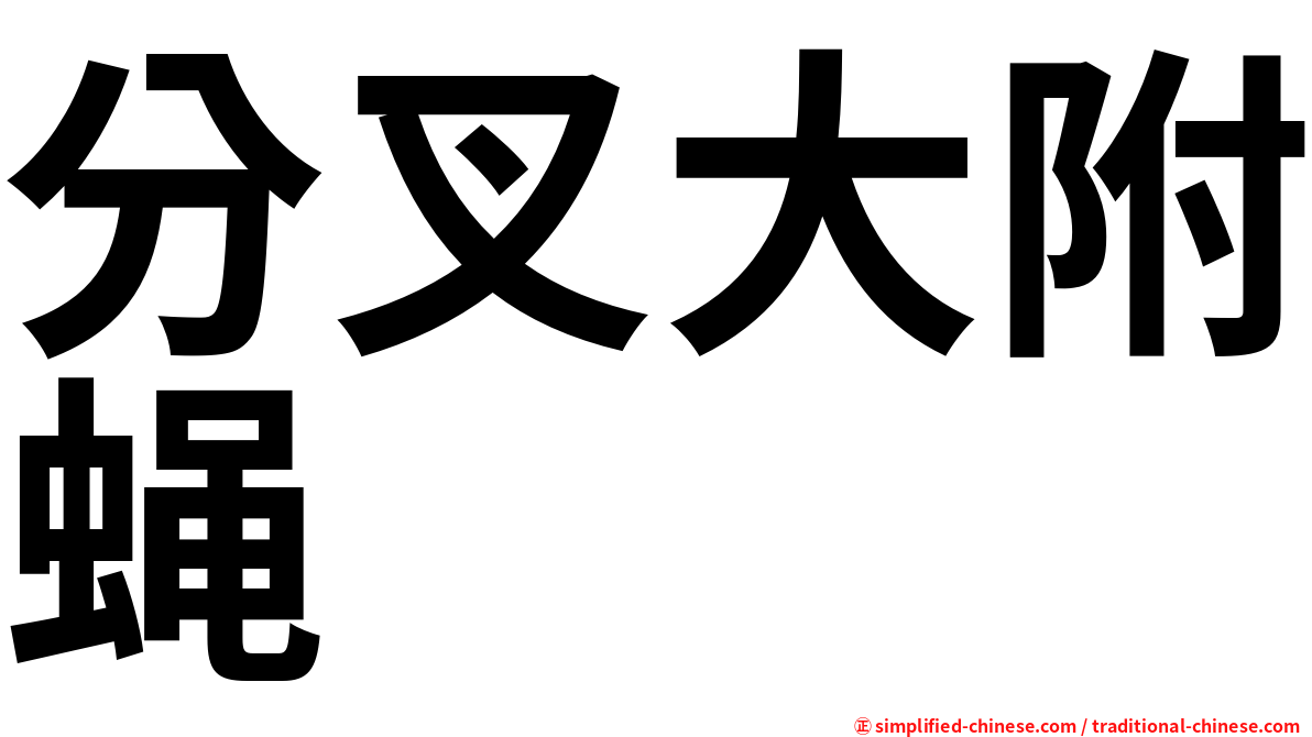 分叉大附蝇