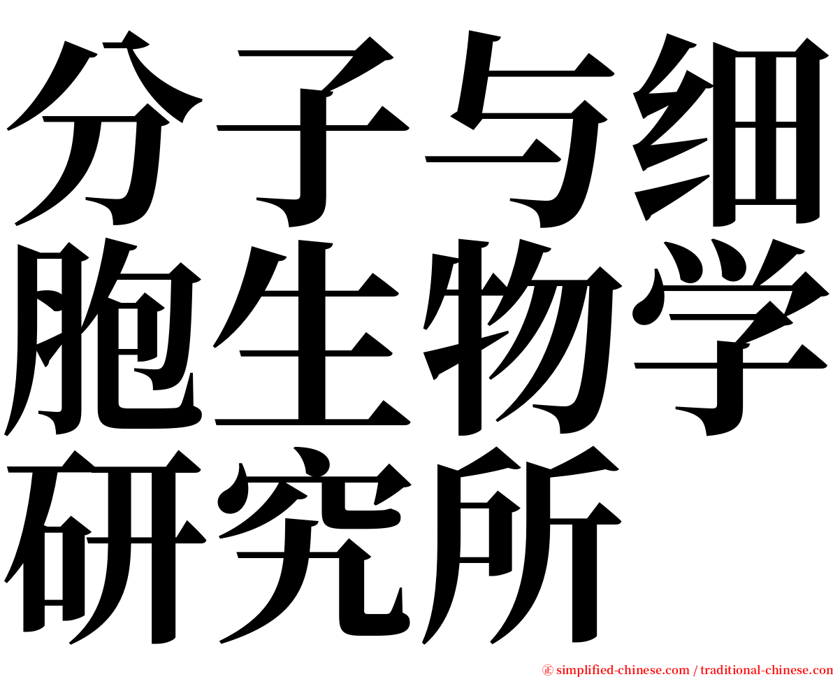 分子与细胞生物学研究所 serif font