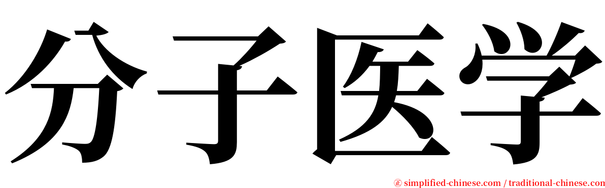 分子医学 serif font