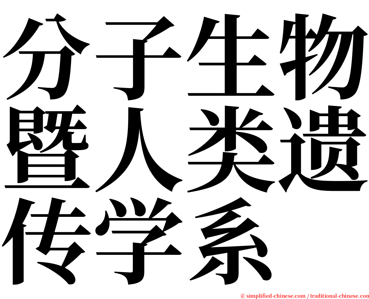 分子生物暨人类遗传学系 serif font