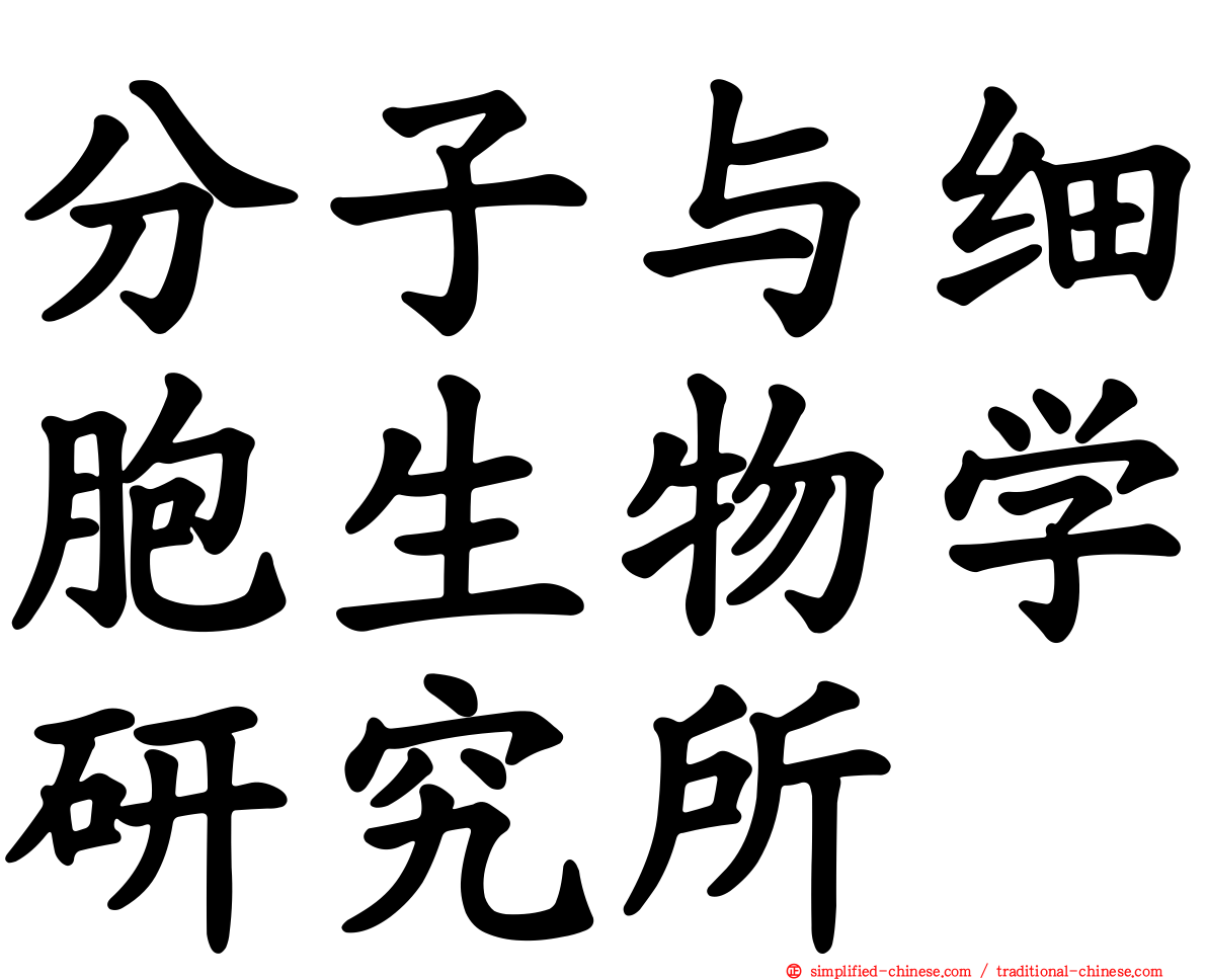 分子与细胞生物学研究所