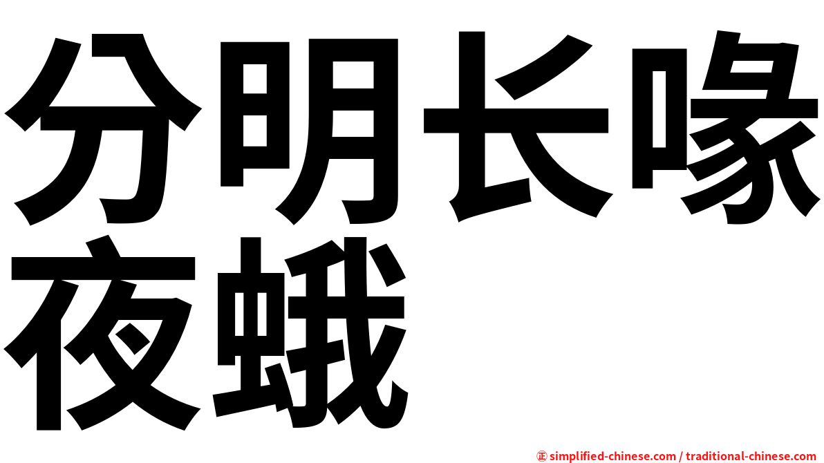 分明长喙夜蛾