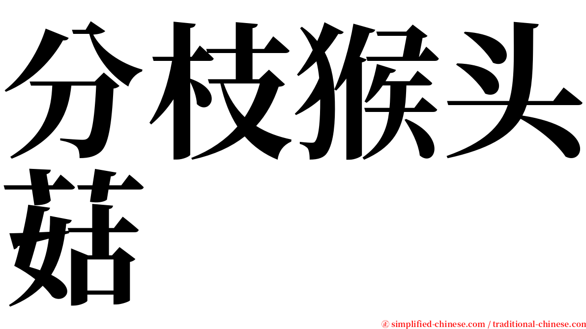 分枝猴头菇 serif font