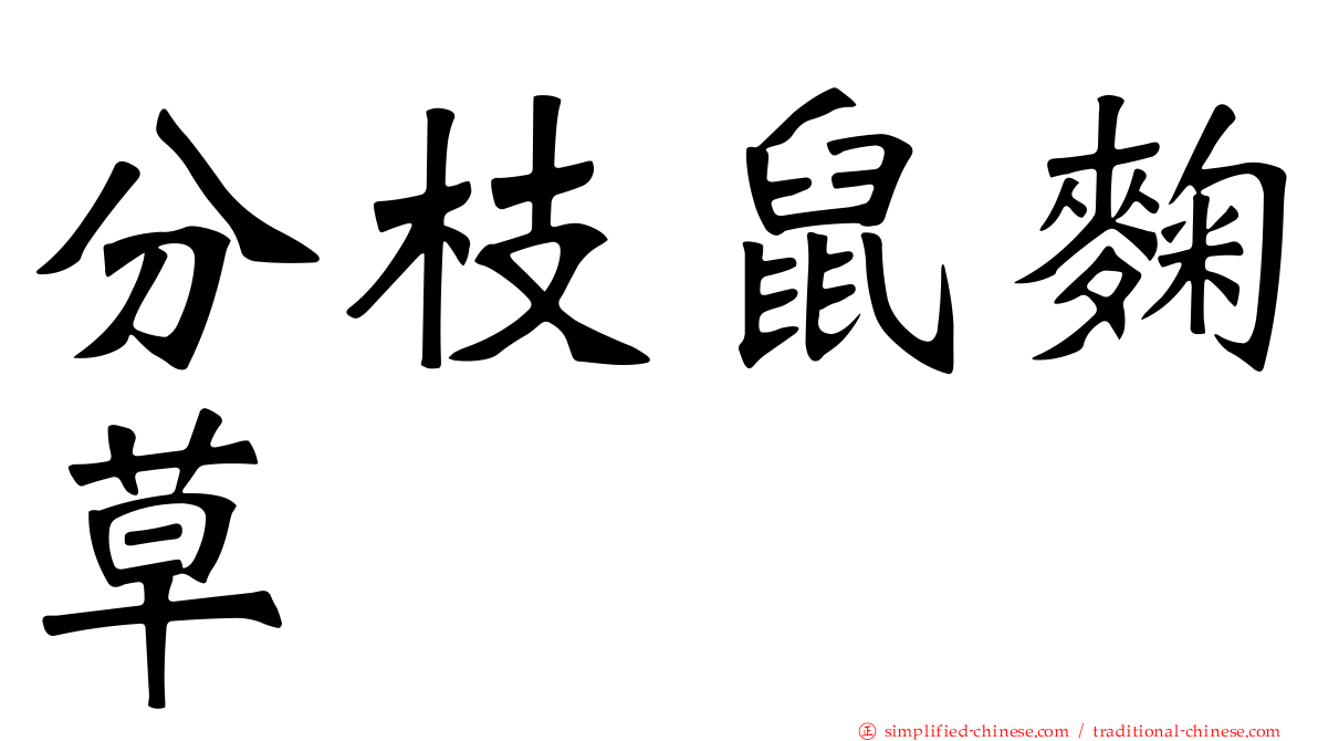 分枝鼠麹草