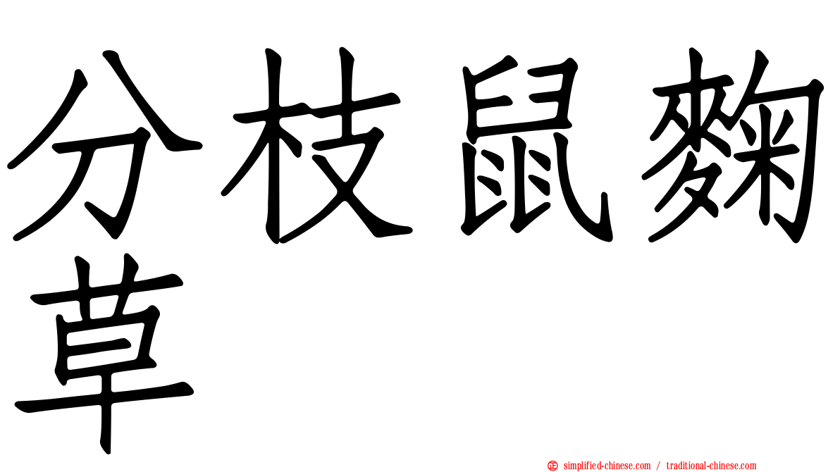分枝鼠麹草