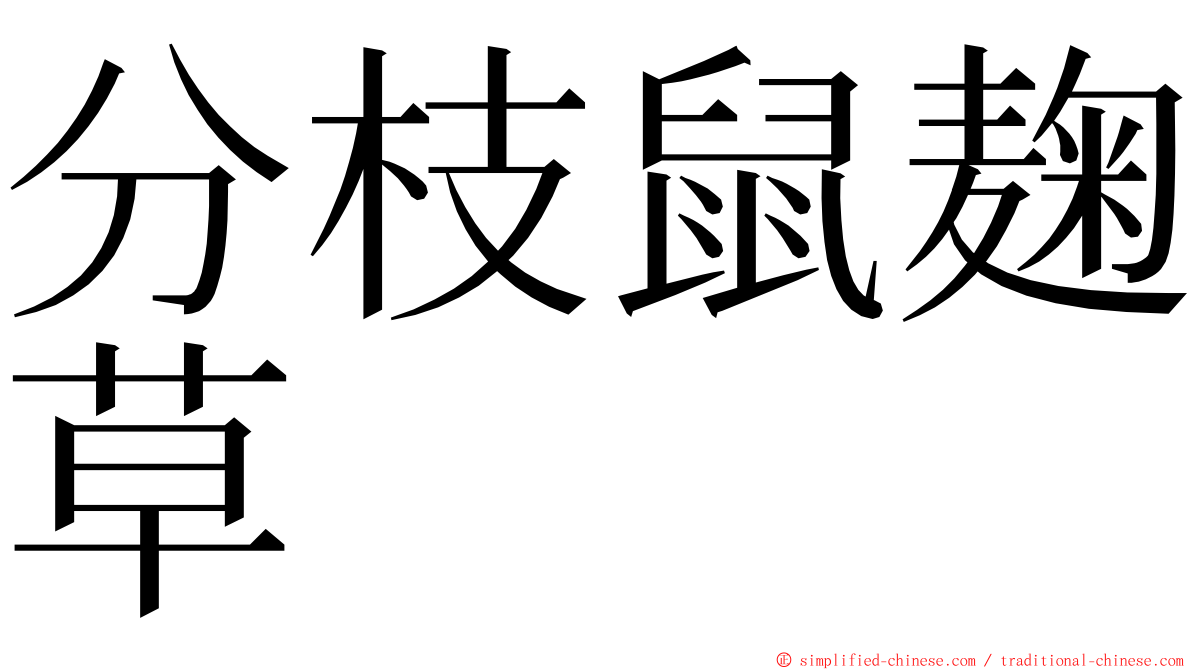 分枝鼠麹草 ming font