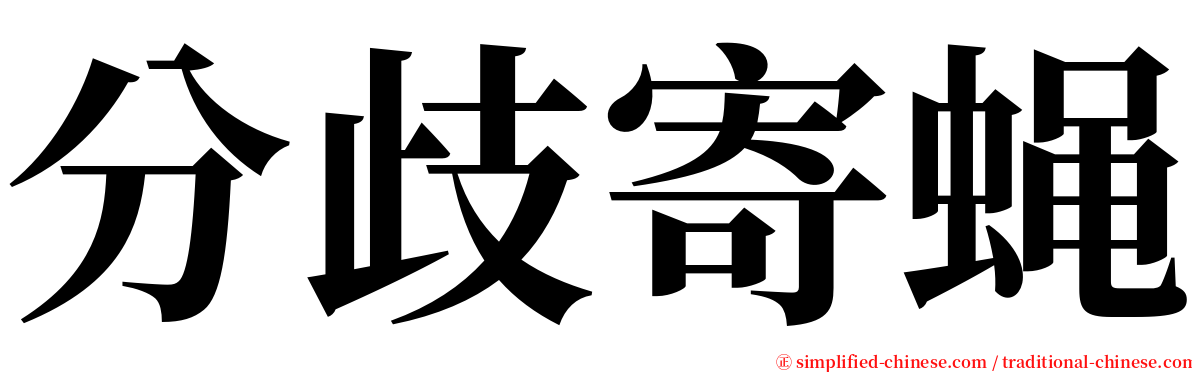 分歧寄蝇 serif font