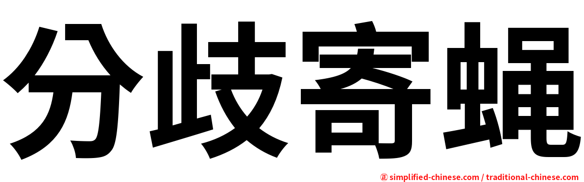 分歧寄蝇