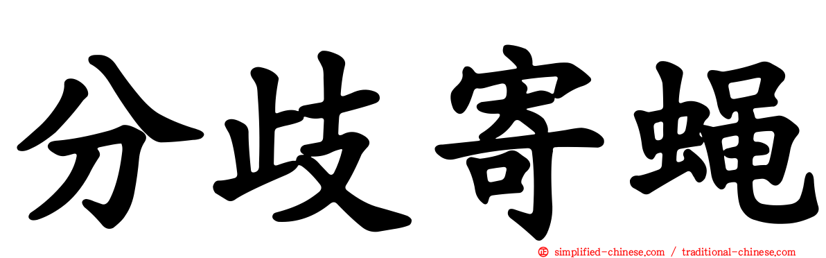 分歧寄蝇
